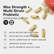 Slow,Gut Health,20 Billion Cfu Probiotic & Prebiotic In Vegan Omega 3 Oil,Gut, Digestive Balance, Improve Nutrient Absorption & Maintain Intestinal Integrity (60 Capsules)