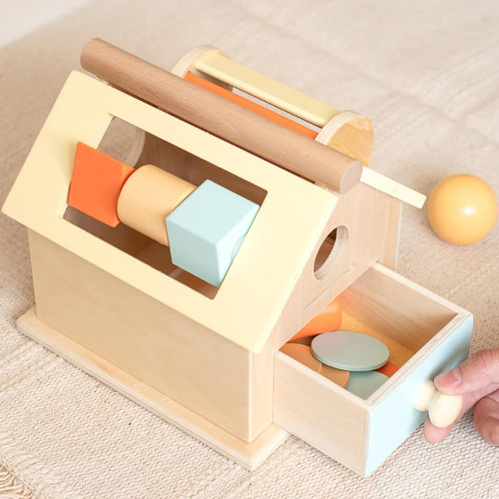 AM ANNA Montessori Toys for Babies 6-12 Months, Wooden Baby Toys, 5 in 1 Wooden Ball Drop Toy & Coin Box Montessori Toys for Babies, Wooden Toys for 1 + Year (5 IN 1)