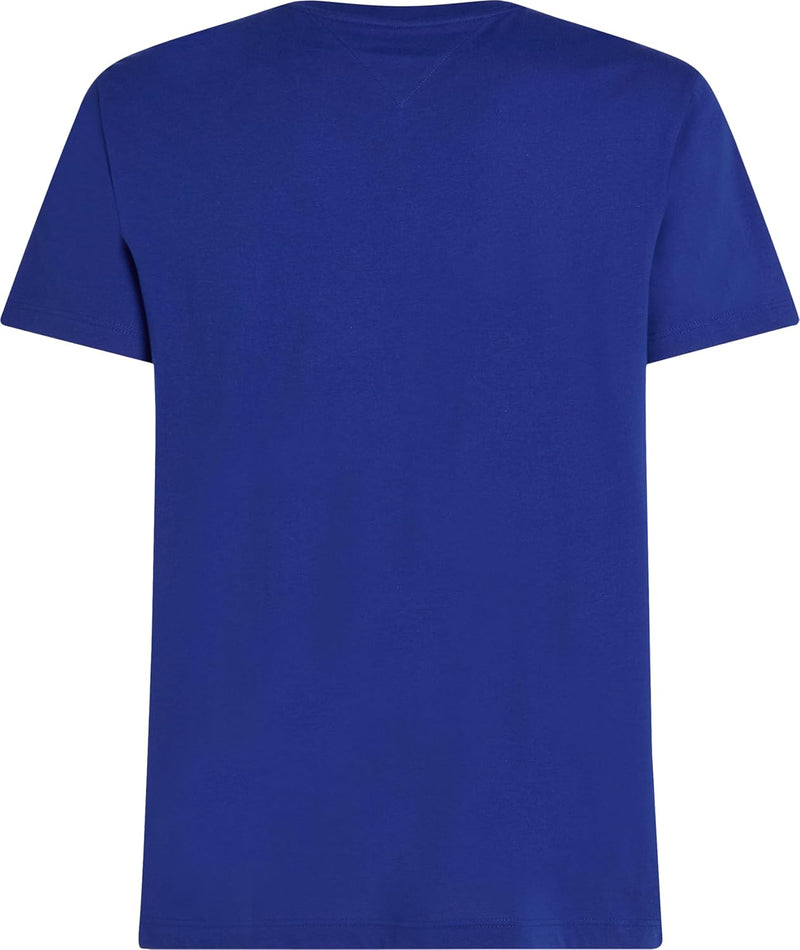TOMMY HILFIGER mens COLOUR TO COLOUR GRAPHIC TEE S/S T-Shirt