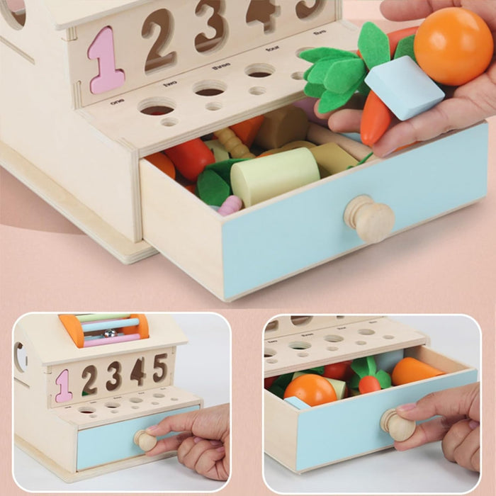 AM ANNA Montessori Toys for Babies 6-12 Months, Wooden Baby Toys, 5 in 1 Wooden Ball Drop Toy & Coin Box Montessori Toys for Babies, Wooden Toys for 1 + Year (5 IN 1)