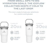 Stanley IceFlow Stainless Steel Tumbler with Straw - Vacuum Insulated Water Bottle for Home, Office or Car - Reusable Cup with Straw Leakproof Flip - Cold for 12 Hours or Iced for 2 Days