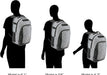 adidas Unisex 5-star Team Backpack Backpack