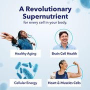 TRU NIAGEN - Patented Nicotinamide Riboside NAD+ Supplement. NR Supports Cellular Energy Metabolism & Repair, Vitality, Healthy Aging of Heart, Brain & Muscle - 30 Servings / 30 Capsules - Pack of 1