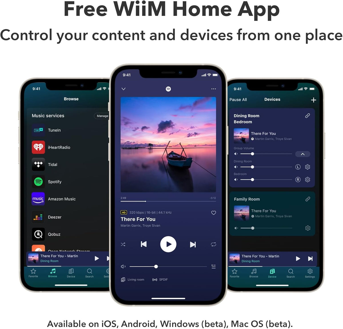 WiiM Pro Plus AirPlay 2 Receiver, Google Cast Audio, Multiroom Streamer with Premium AKM DAC, Voice Remote, Works with Alexa/Siri/Google, Stream Hi-Res Audio from Spotify, Amazon Music, Tidal and More – image 6