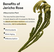 Abib Collagen Eye Patch Jericho Rose Jelly 60 Patches, Korean Under Eye Patches for Puffy Eyes and Dark Circles, Anti-Wrinkle, Collagen, Caffeine, Niacinamide, Ceramide, Antioxidant, Skin Care