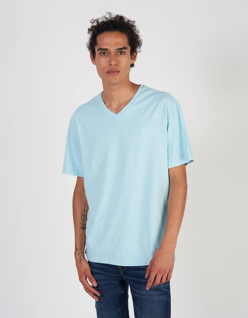American Eagle Mens Short Sleeves Basic V-Neck T-Shirt T-Shirt (pack of 1)
