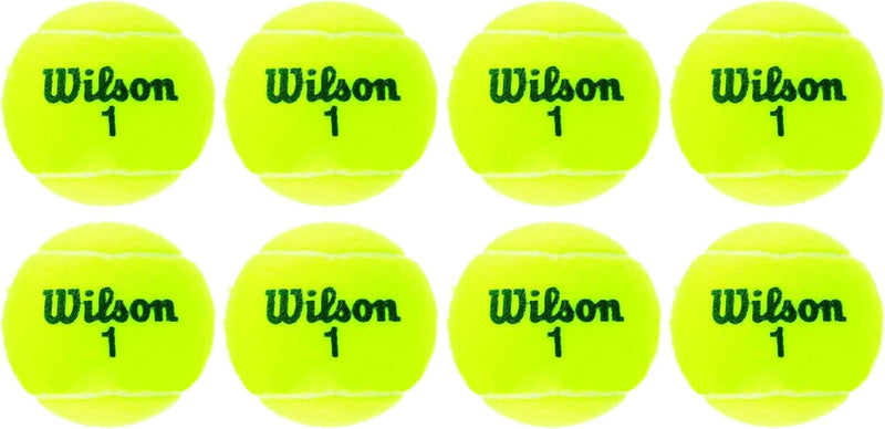Wilson Champ Extra Duty Tennis Balls - 4 (Pack of 2) Championship Extra Duty