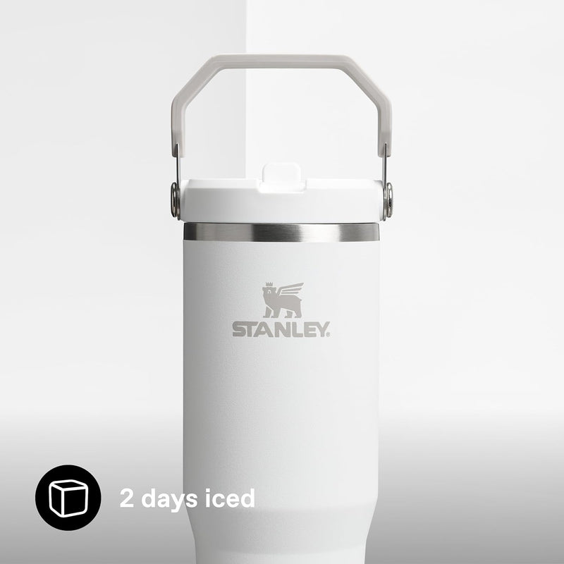 Ice Flow GO 890ml/30oz Flip Straw Wtr Btl Frost