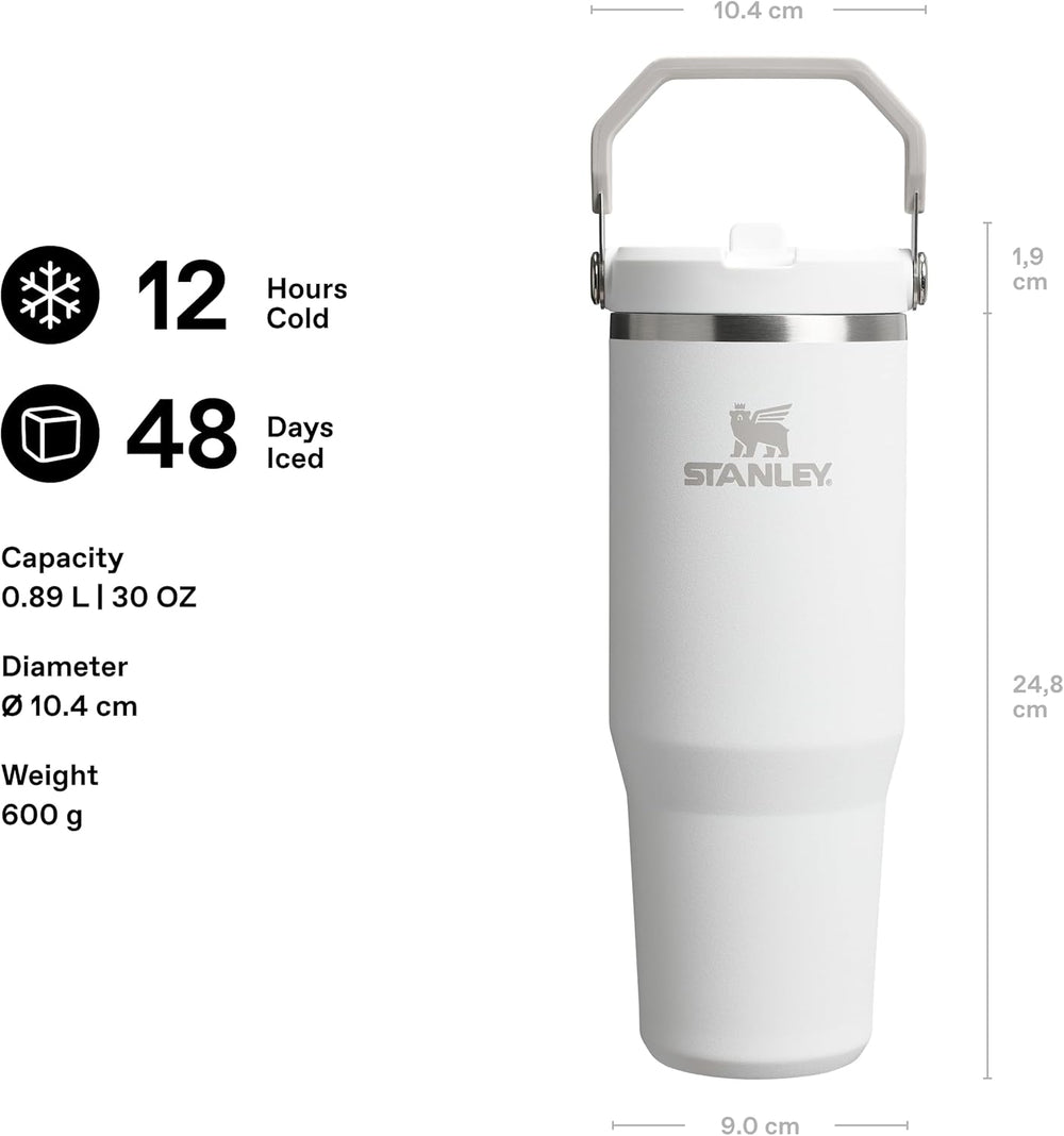 Ice Flow GO 890ml/30oz Flip Straw Wtr Btl Frost