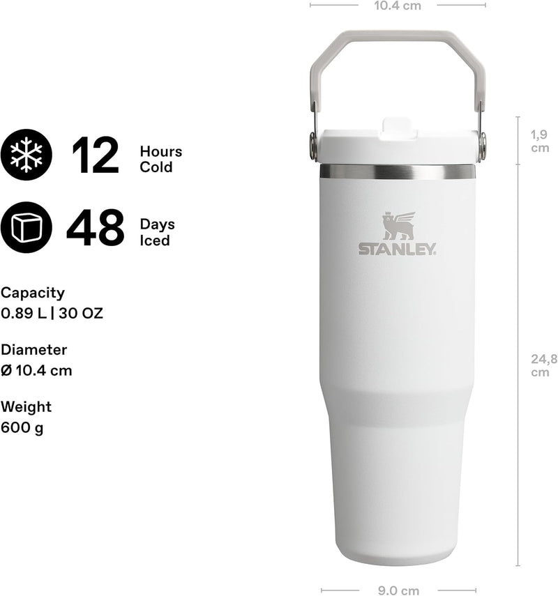 Ice Flow GO 890ml/30oz Flip Straw Wtr Btl Frost