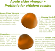 FIT PLUS Sugar-free Vitamin Gummies Apple cider Vinegar, Chromium, Green tea extract & chicory Prebiotics For blood sugar, metabolism, weight Apple & Pear flavour