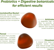 Balance sugar-free Vitamin Gummies Probiotics, Botanicals, Chromium, L-carnitine Ensure a better digestion, improve gut health, curb food cravings 60 Vegan Gummies Delicious Apple flavour