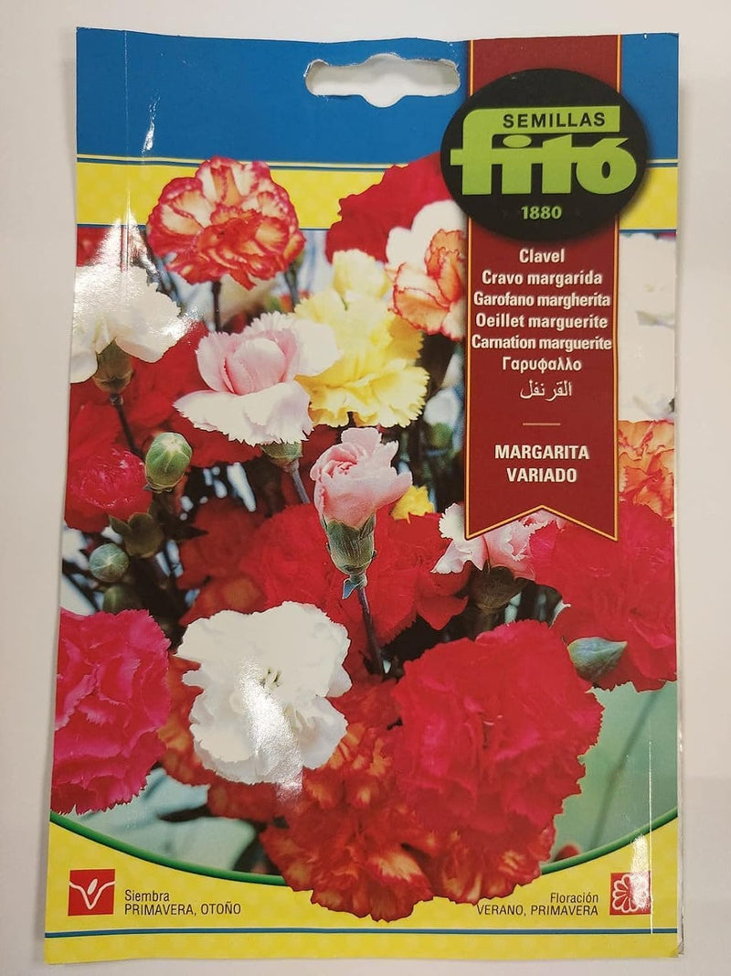 SEMILLAS FITO CARNATION MARGUERITE -