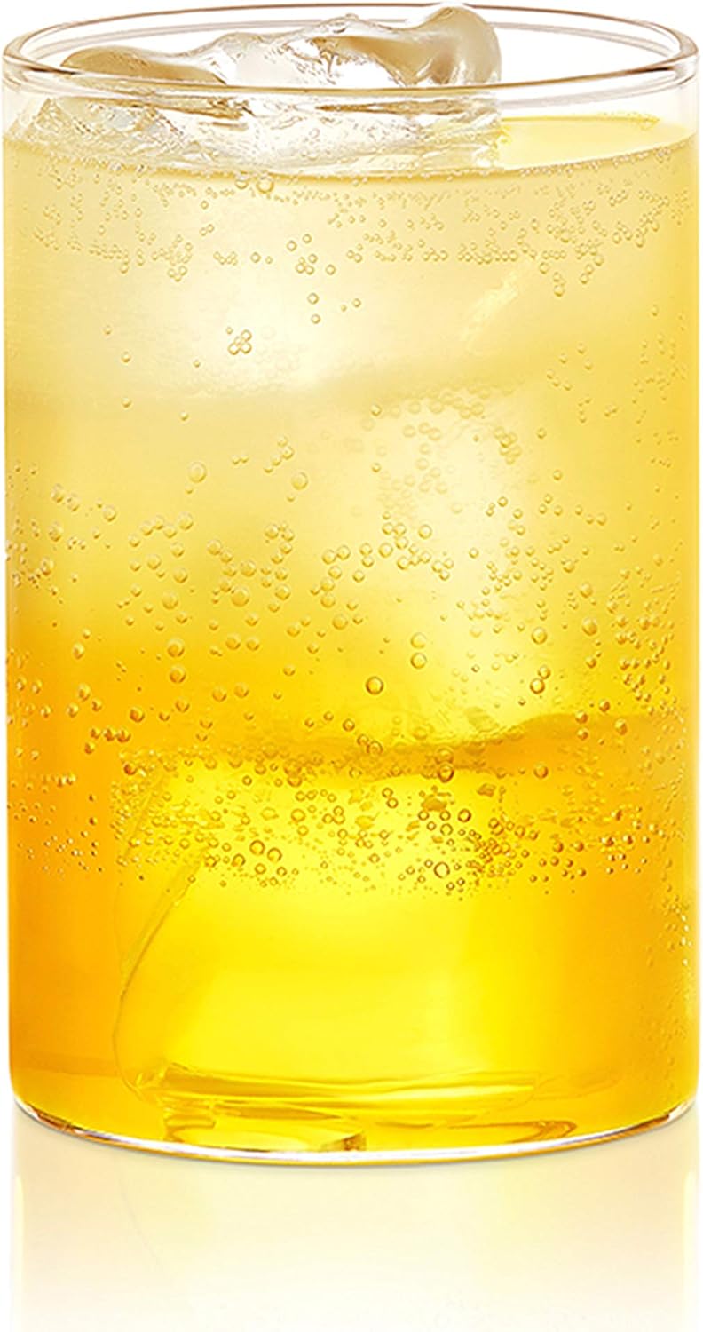 Borosil Vision Transparent Water Glass/Cold Drink Tumbler/ Beer Glass/Juice Glass Set of 6 Pcs (295 ML each) Flame Proof Glasses, Microwave & Dishwasher Safe