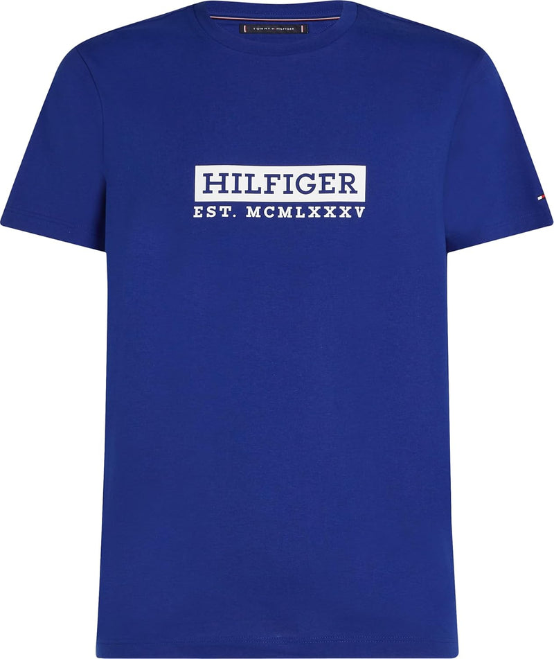 TOMMY HILFIGER mens COLOUR TO COLOUR GRAPHIC TEE S/S T-Shirt