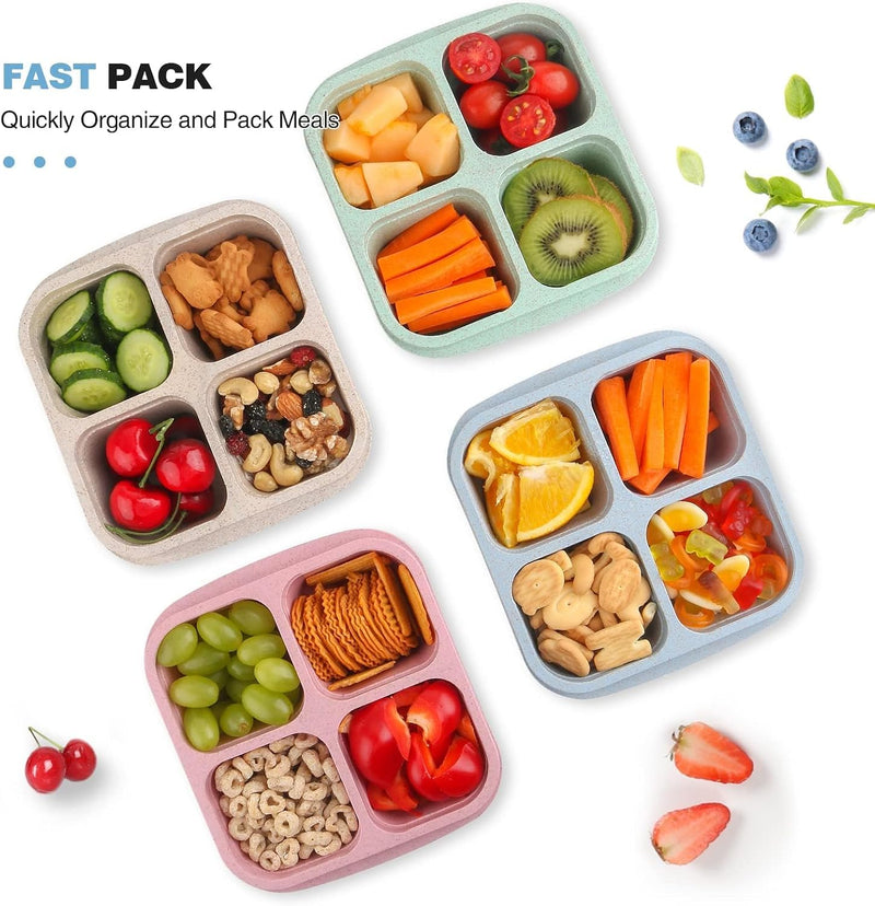 4-Pack 4-Compartment Bento Snack Containers, Reusable Divided Lunch Boxes for Kids Adults, Meal Prep Containers for Travel, Work, Small Food Storage