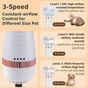 Steam Pet Grooming Dryer Brush 600 W Ionic Hot-Air Groomer with Detangling Slicker, Cool-Mist Spray, 3 Speeds & Nozzles, One-Click Self-Clean for Cats, Dogs, Rabbits & Furry Pets