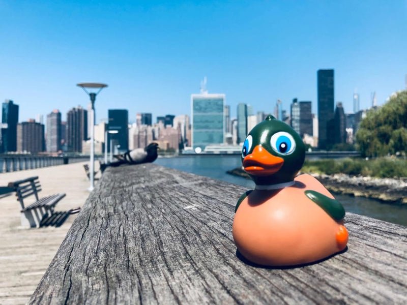 Nuwani Family Mallard Rubber Duck for Jeep, Bathtub Bath Rubber Ducks Toy Pool Party Decoration, No Hole, Float Upright Rubber Ducky Baby Shower, Rubber Duckies Birthday Gift for Nature Birds Lovers