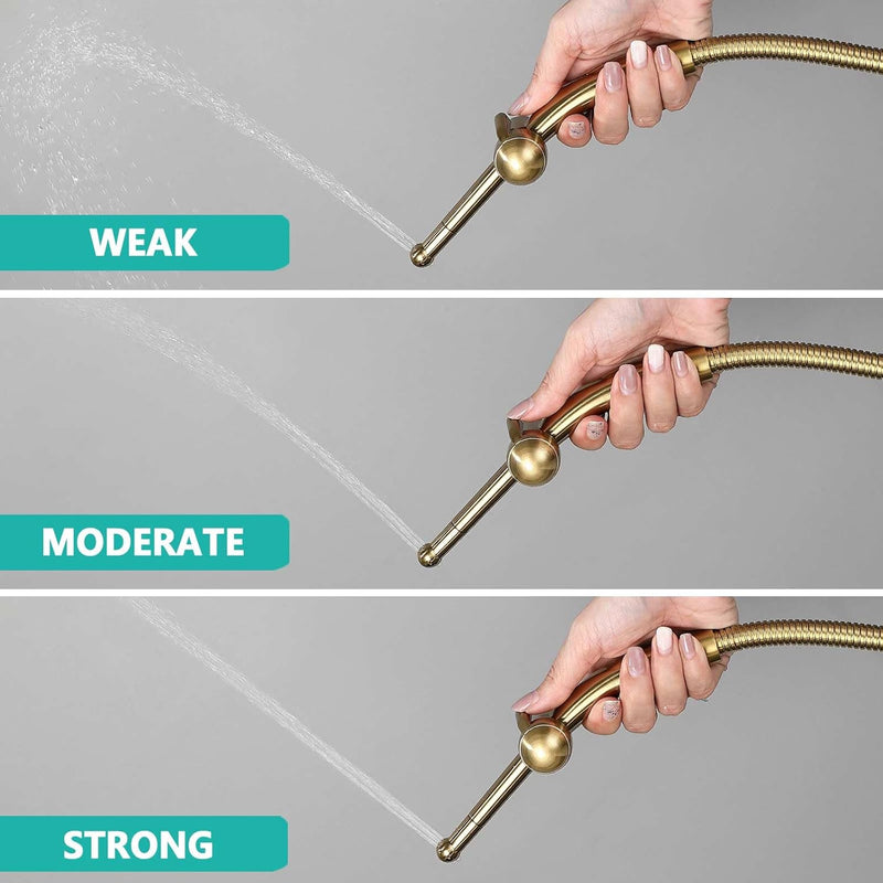 BARROCK All Metal Stainless Steel Hand Held Bidet Sprayer for Toilet, High Pressure Sprayer Head Brushed Gold
