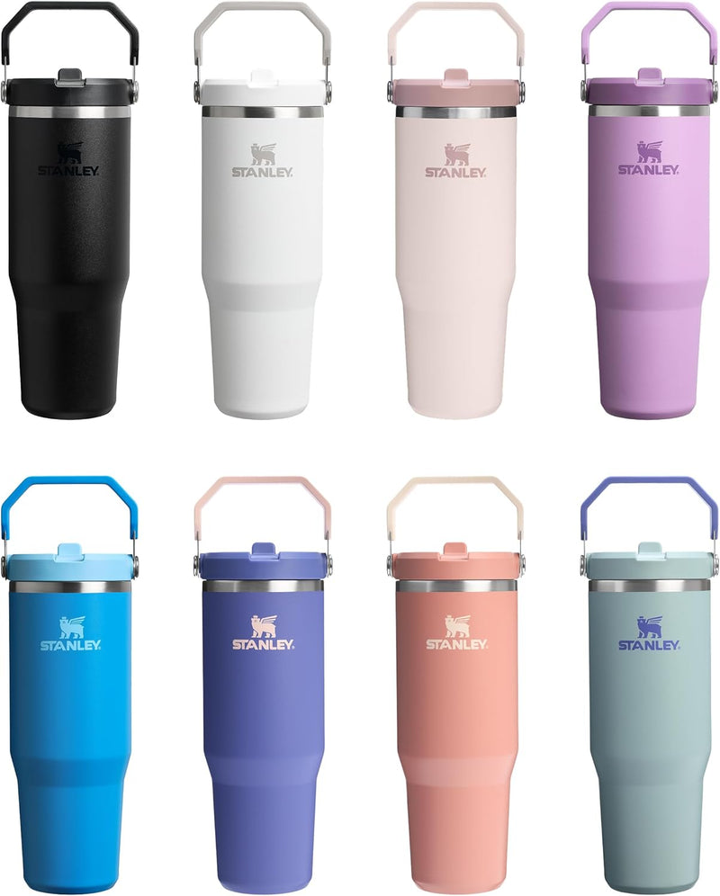 Ice Flow GO 890ml/30oz Flip Straw Wtr Btl Frost