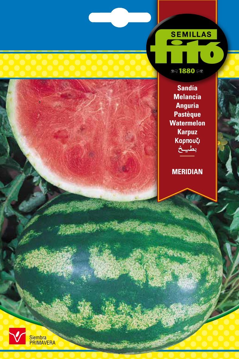 Semillas Fito Watermelon Meridian Seeds_283