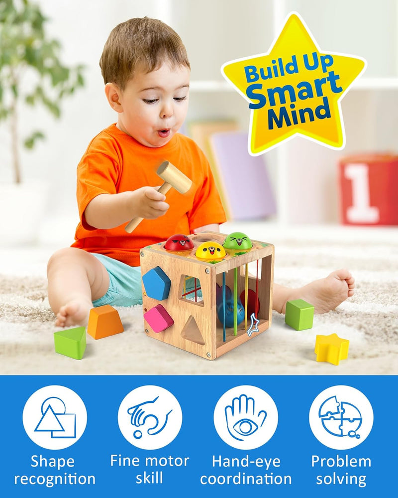 Coogam Wooden Montessori Toys for Toddlers, Shape Sorting Cube Whack Mole Fine Motor Skills Game for 1 2 3 Year Old 18 Month Baby Boys Girls Gift