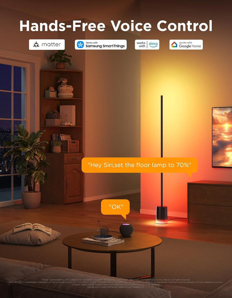 Floor Lamp 2, RGBIC Smart Floor Lamp for Living Room, Bedroom 1725lm, Warm Cool White LED, 2200K-6500K, Compatible with SmartThings, Matter, Alexa, Music Sync, Scene Modes, Black(1 Pack)