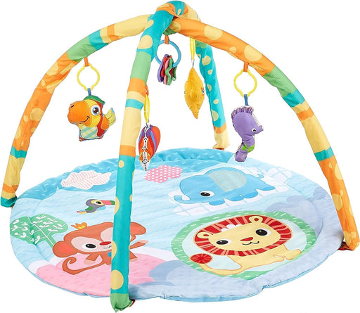 Baby Play Gym & Mat | Shop Baby Play Gym 
