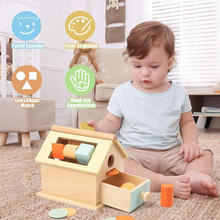 AM ANNA Montessori Toys for Babies 6-12 Months, Wooden Baby Toys, 5 in 1 Wooden Ball Drop Toy & Coin Box Montessori Toys for Babies, Wooden Toys for 1 + Year (5 IN 1)