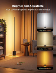 Floor Lamp 2, RGBIC Smart Floor Lamp for Living Room, Bedroom 1725lm, Warm Cool White LED, 2200K-6500K, Compatible with SmartThings, Matter, Alexa, Music Sync, Scene Modes, Black(1 Pack)