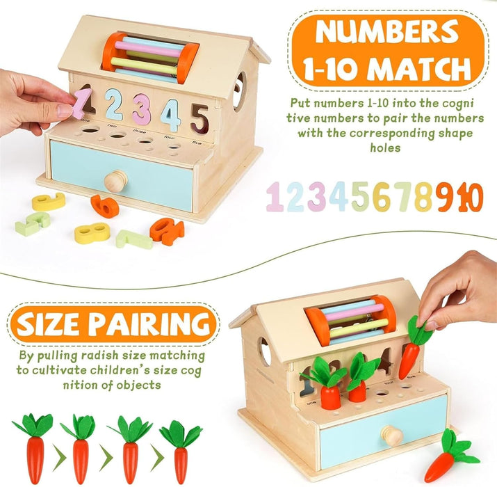 AM ANNA Montessori Toys for Babies 6-12 Months, Wooden Baby Toys, 5 in 1 Wooden Ball Drop Toy & Coin Box Montessori Toys for Babies, Wooden Toys for 1 + Year (5 IN 1)