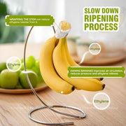 Banana Holder Stand - Stainless Steel Kitchen Counter Tree Hook for Bananas, Grapes & Vine Tomatoes, Prevents Bruising & Extends Freshness