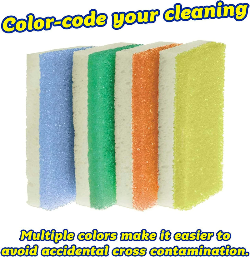 Sponge Daddy Dual Side Scrubber + Sponge Set Of 4 Assorted - Sponge Daddy
