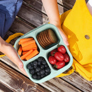 4-Pack 4-Compartment Bento Snack Containers, Reusable Divided Lunch Boxes for Kids Adults, Meal Prep Containers for Travel, Work, Small Food Storage