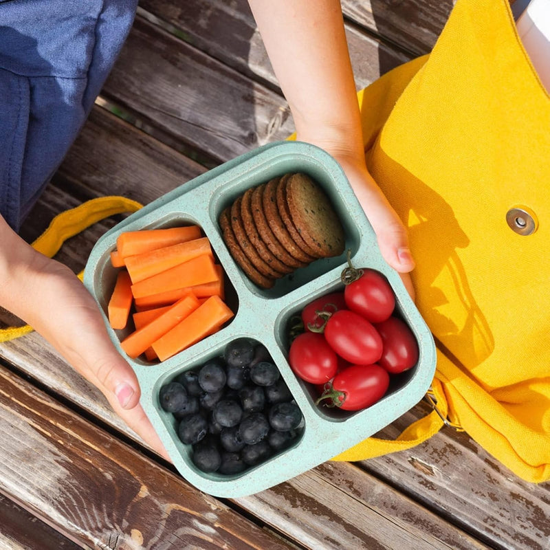4-Pack 4-Compartment Bento Snack Containers, Reusable Divided Lunch Boxes for Kids Adults, Meal Prep Containers for Travel, Work, Small Food Storage