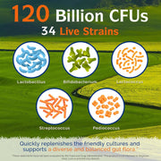 3-in-1 Probiotics 120 Billion CFUs 34 Strains with Organic Prebiotics & Digestive Enzymes - 30 Vegan Caps