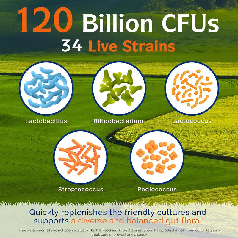3-in-1 Probiotics 120 Billion CFUs 34 Strains with Organic Prebiotics & Digestive Enzymes - 30 Vegan Caps