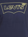 Levi's Men's Regular T-Shirt (16960-0786_Black Beauty L)