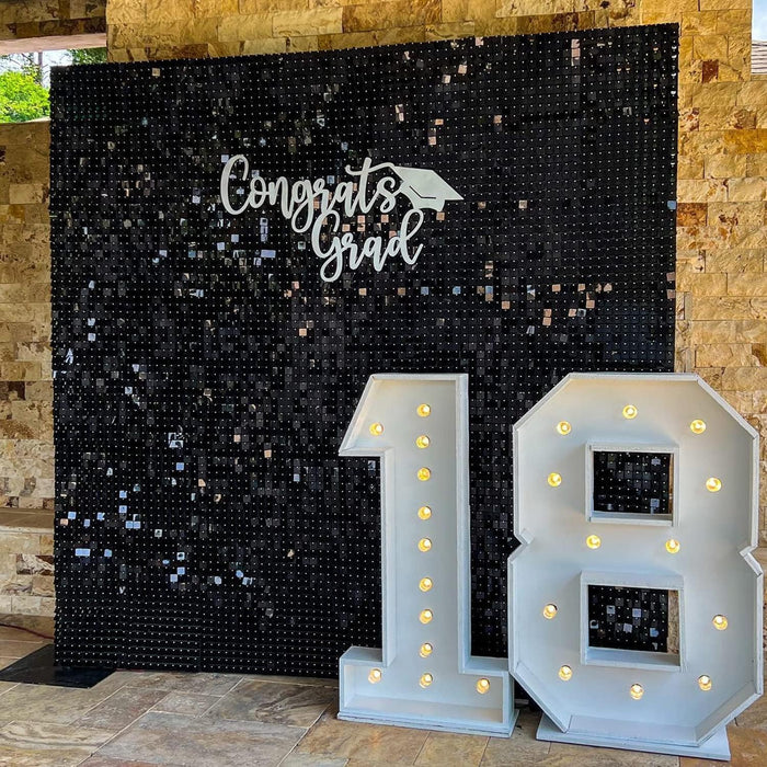 LuoluoHouse Shimmer Wall Panel Sequin Backdrop Panels 12 Packs-Iridescent Silver Backdrop for Graduation Anniversary Backdrop Wall Backdrops Engagement Decoration