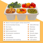 4 Pcs Wheat Straw PP 5-Compartment Bento Lunch Box, Reusable Snack Box Container for Adults and Kids, Food Storage Box for School, Work, Travel, Meal Prep Containers