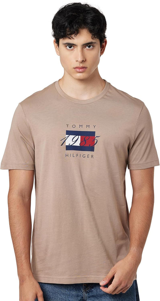 Mens Linear flag graphic T-Shirts (pack of 1) - Coastal Taupe