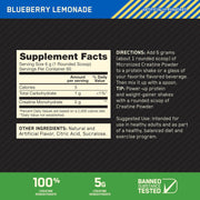 Optimum Nutrition Creatine Powder Pure Creatine Monohydrate for Muscle Strength, Energy & Endurance Blueberry Lemonade Flavor 360g 60 Servings - Blueberry Lemonade 5g Creatine 60 Servings 360g