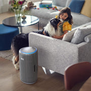 
Philips Air Purifier & Humidifier | Air Purifier Online Store

