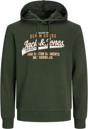 mens LOGO SWEAT HOOD 2 COL 24/25 Sweatshirt (pack of 1) - kombu green