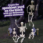 SLEEPHEAD Halloween Skeleton Decoration,Adult (36'') & Child (16'') Skeleton Value 2 Pack for for Halloween Party Yard Haunted House Props Indoor Outdoor Decor