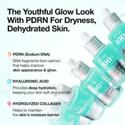 PDRN Hyaluronic Acid Capsule 100 Serum, Radiant Face Serum, Hyaluronic Acid, Hydration, Moisture Plumping effect, Natural color, Fragrance free, Korean Skincare, 30ml / 1.01 fl. oz - 1.01 Fl Oz (Pack of 1)