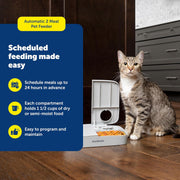 PetSafe Analog 2 Meal Programmable Pet Feeder, Dry or Semi-Moist Pet Food Dispenser, Slow Feed Portion Control (3 Cup/16 Ounce Total Capacity), Tamper-Resistant Design, Gray - 2-Meal Feeder