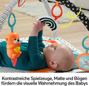 Fisher-Price 3-in-1 Music, Glow and Grow Gym Activity Play Mat