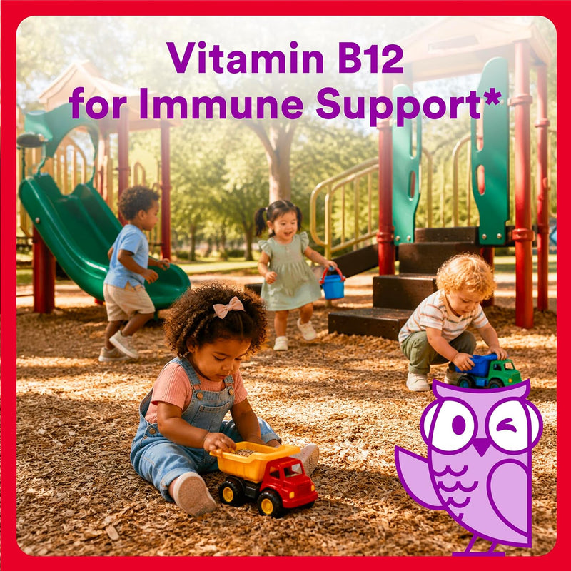 Organic Toddler Multivitamin, Daily Gummy Vitamins: Probiotics, Vitamin C, D3, Zinc, & B12 for Immune Support, Energy & Digestive Health, Fruit Flavor, 60 Gummies, 30 Day Supply