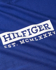 Tommy Hilfiger mens COLOUR TO COLOUR GRAPHIC TEE S/S T-Shirt